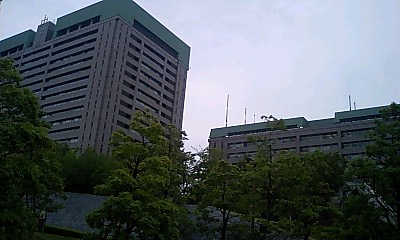 入場門から