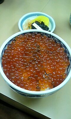 イクラ丼